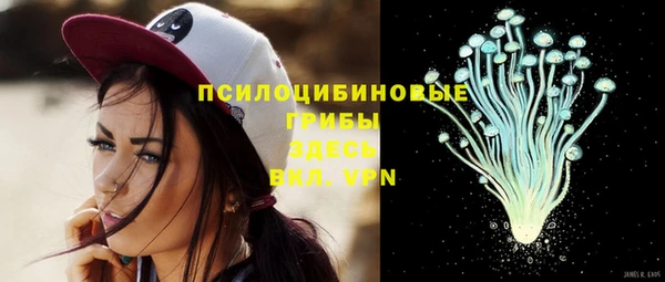 мдма Каменногорск