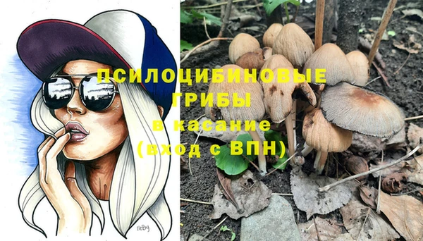 мдма Каменногорск