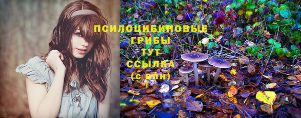 мдма Каменногорск