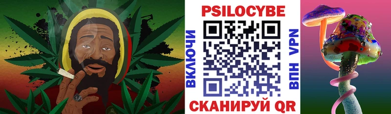 Купить где  Холмск  Галлюциногенные грибы GOLDEN TEACHER 